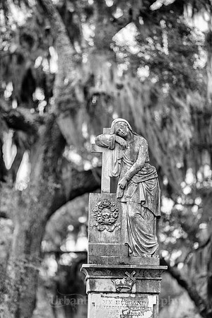Savannah_9851