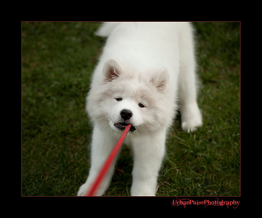 GreenBoy_10wks_web_0581