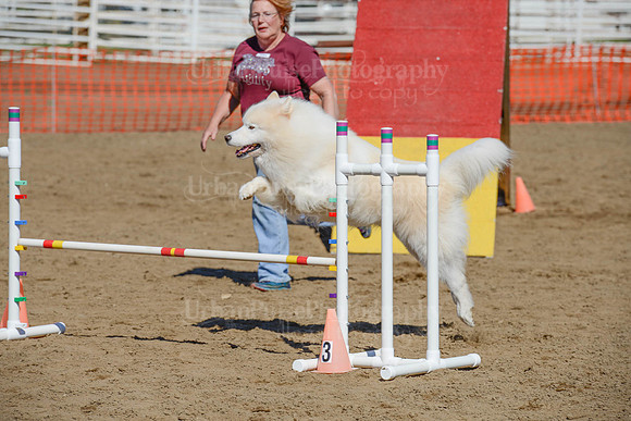 AGILITY-2234