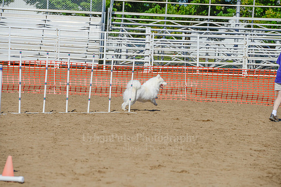 AGILITY-2303