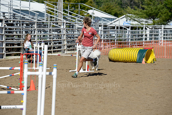 AGILITY-1979