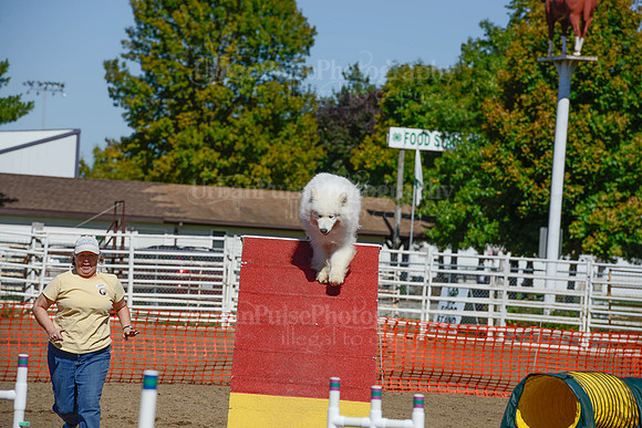 AGILITY-2378