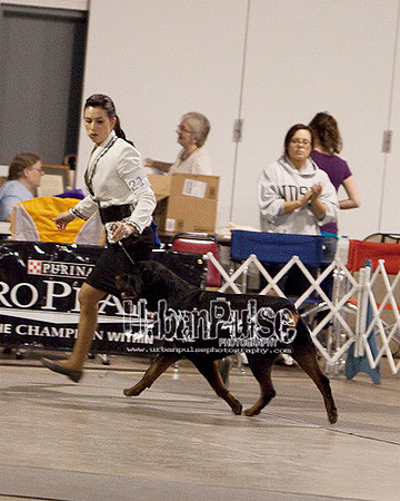 Fargo_2011-4085