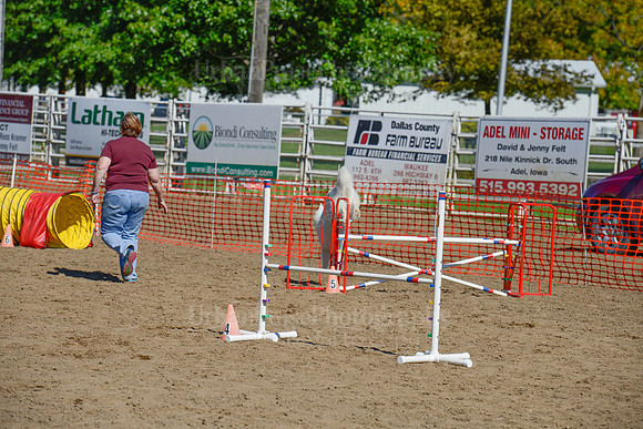 AGILITY-2316