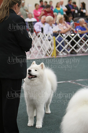 D BOB GR4-3800 2014 SCA National