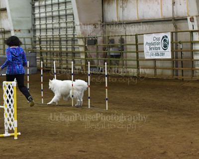 SCA2016_AG MON FAST NOVICE-0091