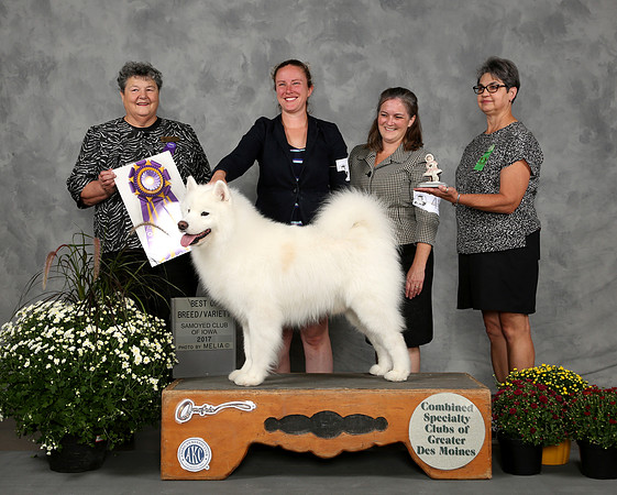 Mater Best of Breed DesMoines2017