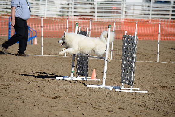 AGILITY-1857