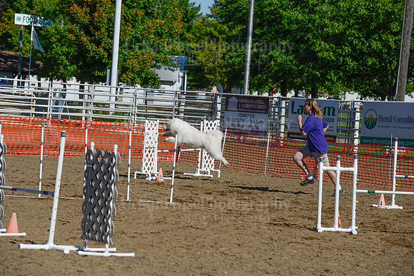 AGILITY-2075
