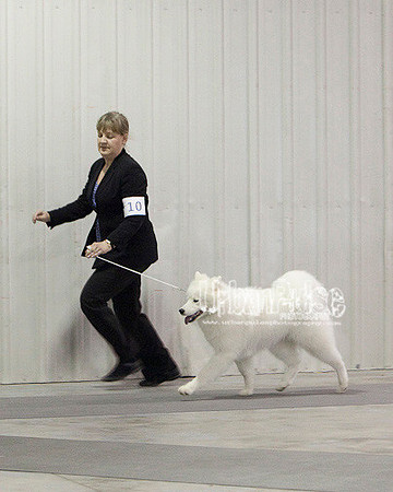 Fargo_2011-4295