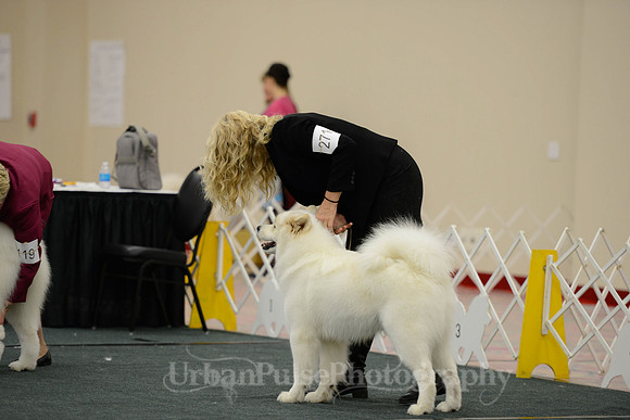 D OPEN-5400  2014 SCA National - 3rd PL