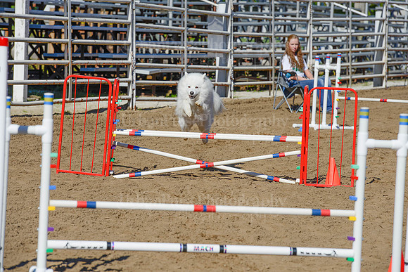 AGILITY-2152