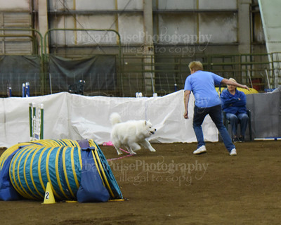 SCA2016_AG MON FAST NOVICE-0078
