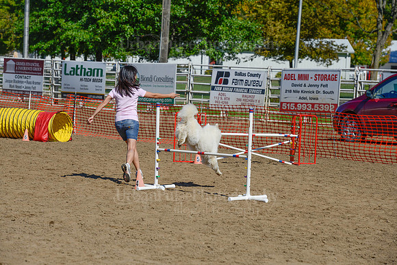 AGILITY-2249