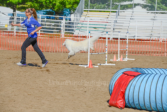 AGILITY-2150