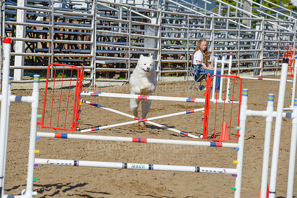 AGILITY-2066