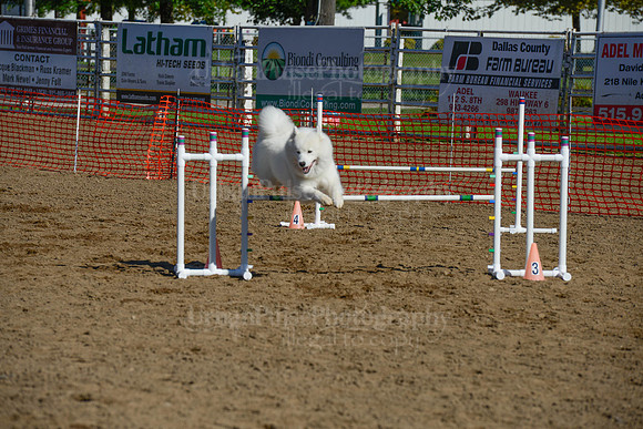 AGILITY-2087