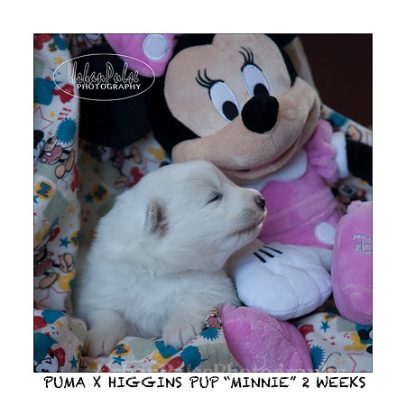MINNIE_2WEEKS_3433