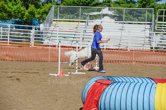 AGILITY-2138