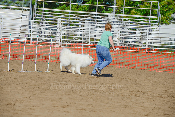 AGILITY-2352