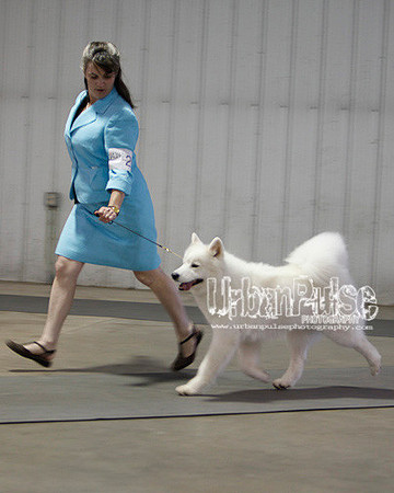 Fargo_2011-3744