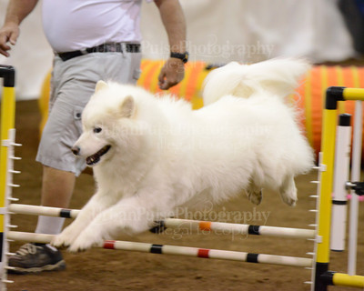 SCA2016_AG MON FAST NOVICE-3528