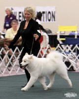 D OPEN-8700 2014 SCA National - 3rd PL