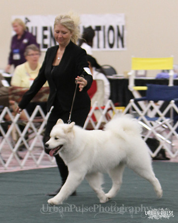 D OPEN-8700 2014 SCA National - 3rd PL