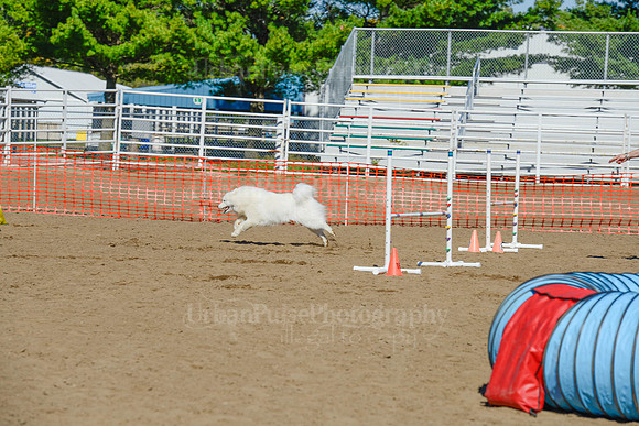 AGILITY-2053