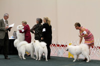D OPEN-8702 2014 SCA National - 3rd PL