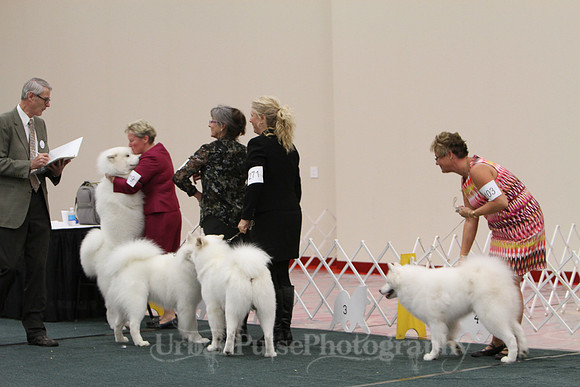 D OPEN-8702 2014 SCA National - 3rd PL
