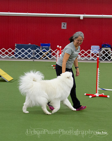 AGILITY_9446