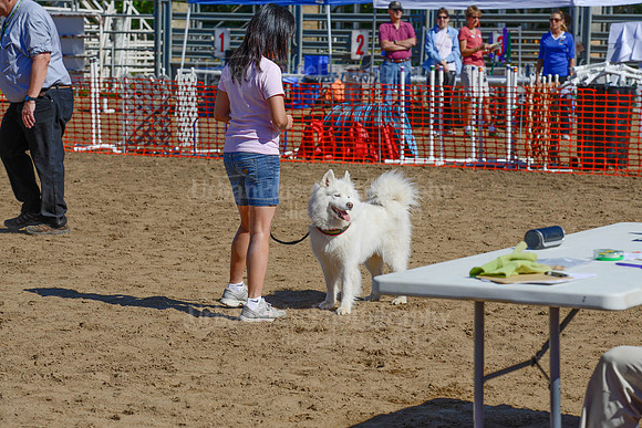 AGILITY-2245