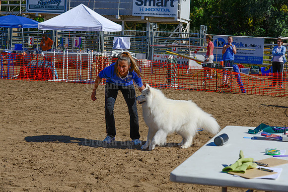 AGILITY-2204