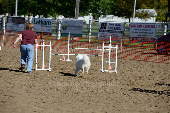 AGILITY-1992