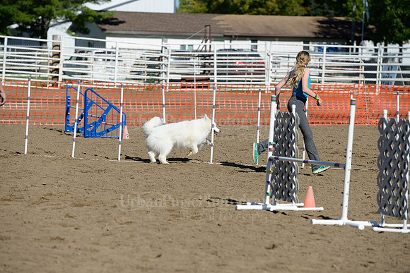 AGILITY-1937