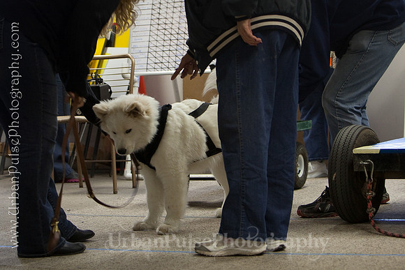 untitled-0386