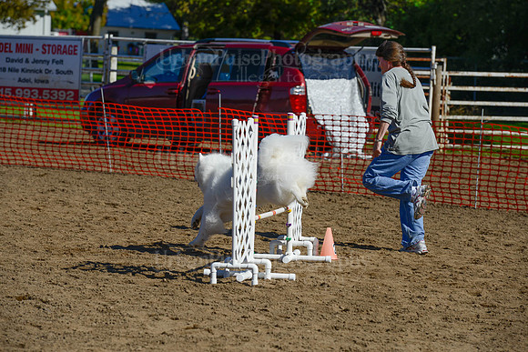 AGILITY-2157