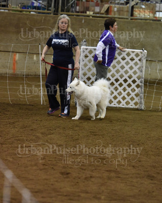 SCA2016_AG MON FAST NOVICE-0082