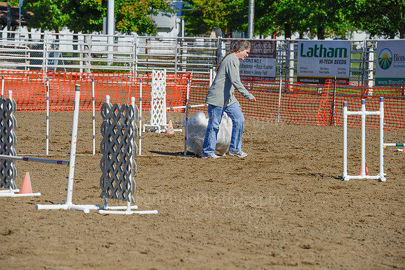 AGILITY-2169