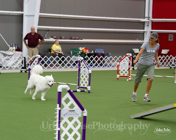 AGILITY_9453