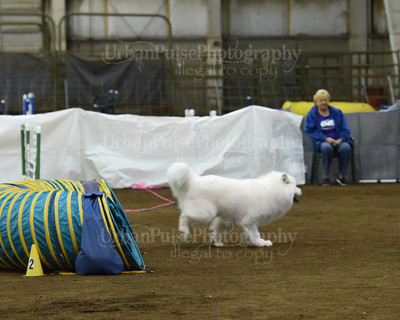 SCA2016_AG MON FAST NOVICE-0132