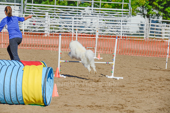 AGILITY-2149