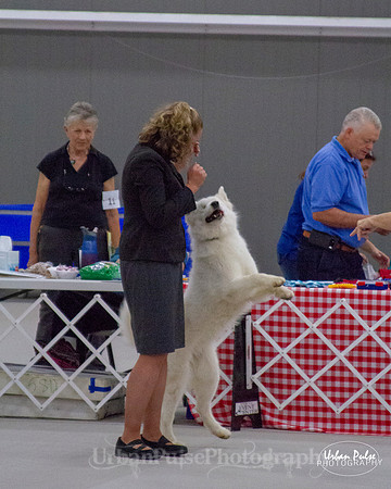 HEX SCA 2018_9536