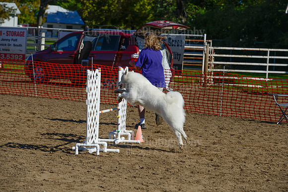 AGILITY-2072