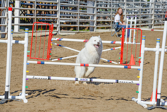 AGILITY-2067