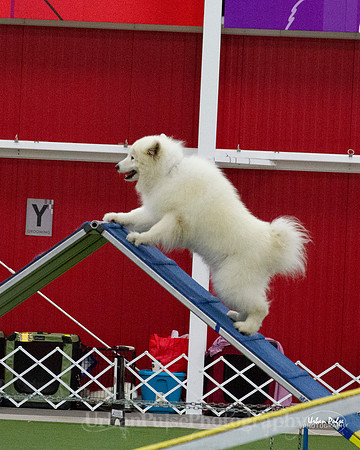 AGILITY_9503