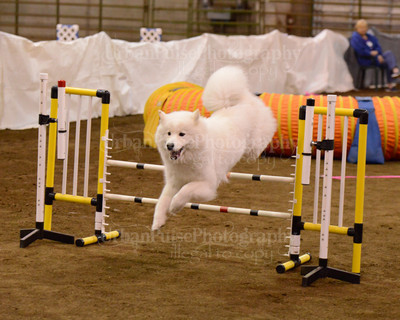 SCA2016_AG MON FAST NOVICE-3563