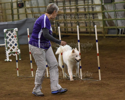 SCA2016_AG MON FAST NOVICE-0098