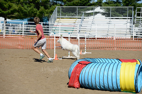 AGILITY-1978